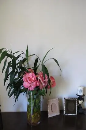 Homestay Penang Batu Ferringhi Beach Bungalow Villa Malaysia